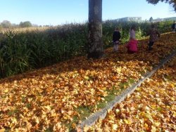 Herbsspaziergang